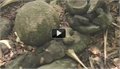 כדורי האבן הענקיים בקוסטה ריקה