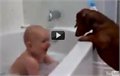 תינוק חמוד משחק עם כלבים באמבטיה