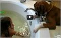 כלב חכם מפעיל מים