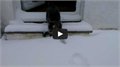 חתול פוגש שלג בפעם ראשונה