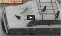 עורבים משחקים בשלג