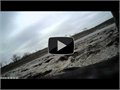 מצלמת "כתף" על עוף דורס שתופס בשידור חי אווז האוויר