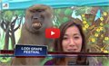 קוף באבון עוזר לכתבת חדשות