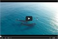 מצמרר: גלשן פוגש צמד לווייתנים באוקיינוס