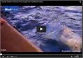 דולפין גנב טאבלט של תיירת