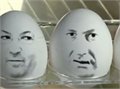 בלבול ביצים - בחירות 2009