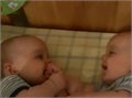 תינוקות תאומים שמצחיקים אחד את השני , מקסים
