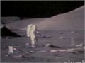הנחיתה הראשונה והאמיתית על הירח