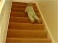 מדרגות תינוק נעות