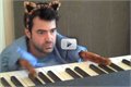 ראיתם פעם חתול מנגן על פסנתר ??? אם לא , זה הזמן - קורע